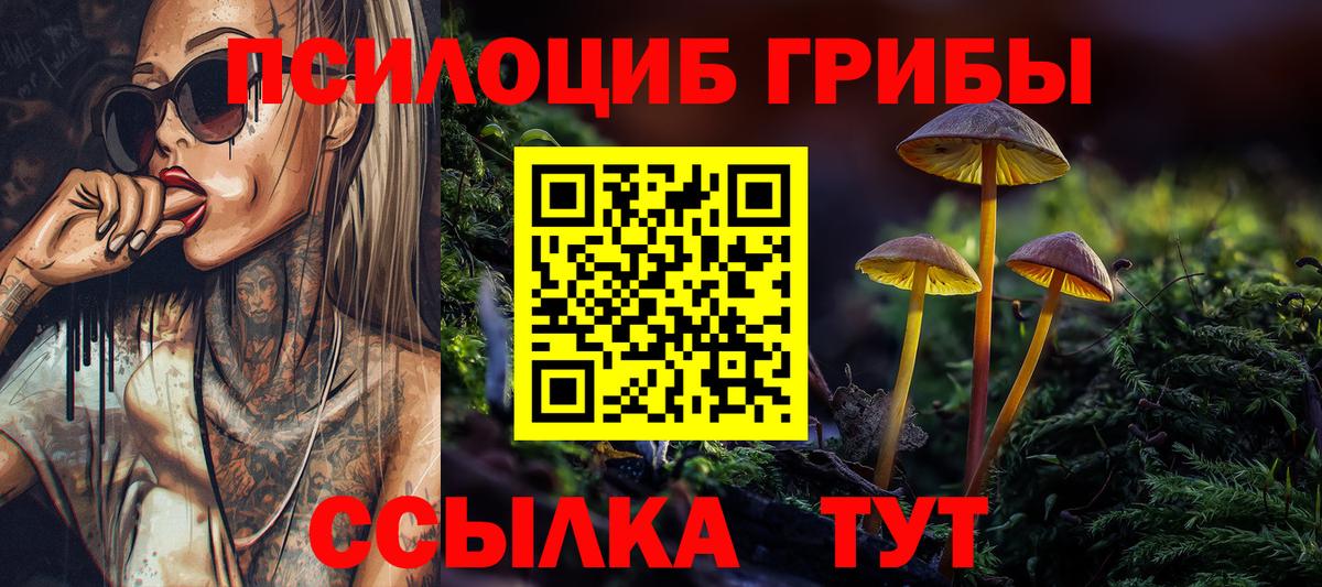 Псилоцибиновые грибы Psilocybe  наркошоп  Вход с VPN  Дивногорск  Псилоцибиновые грибы MAGIC MUSHROOMS 