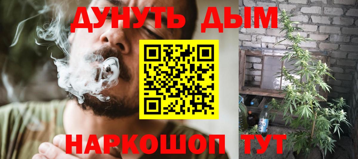 Бошки марихуана THC 21% Дивногорск